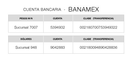 Pagos Banamex
